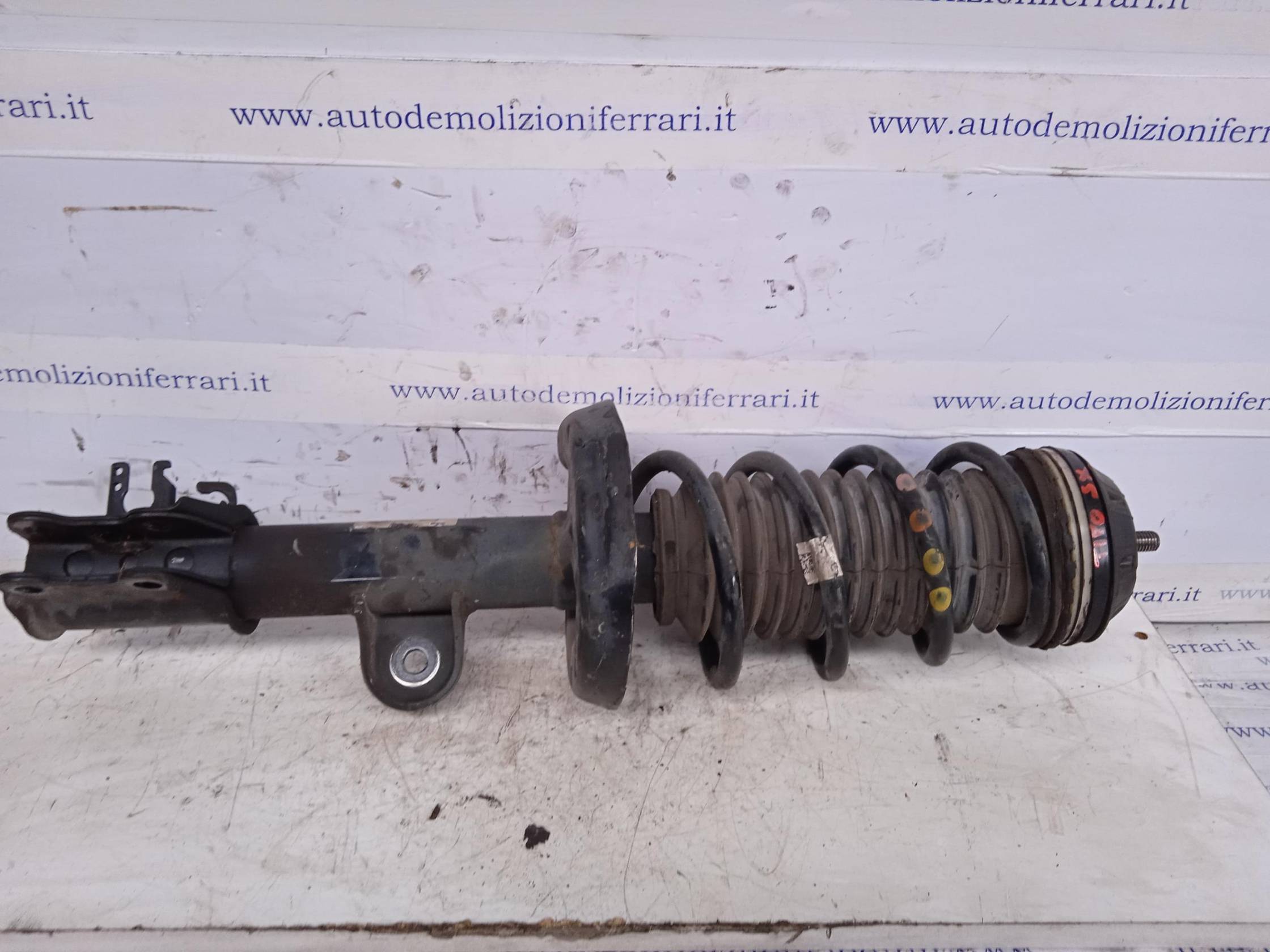 Ammortizzatore ant. sx.